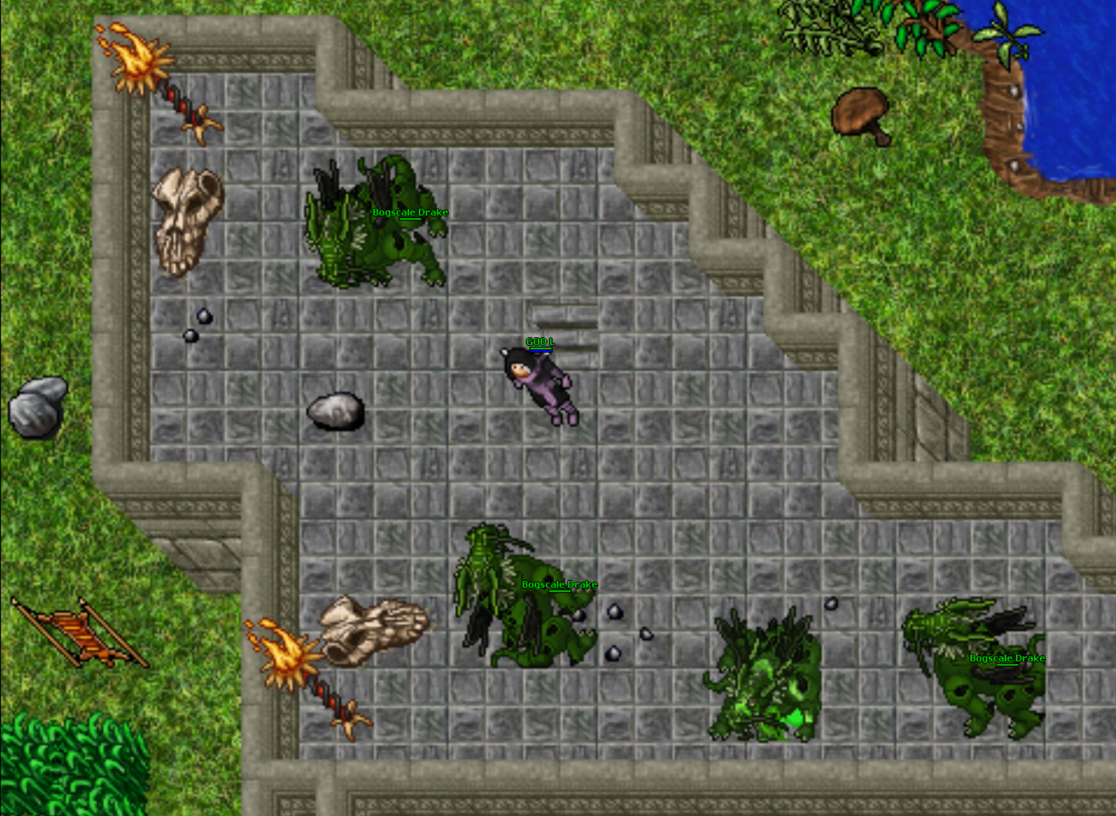 Bogscale Drakes (North-East Carlin, Req Lvl 150+)